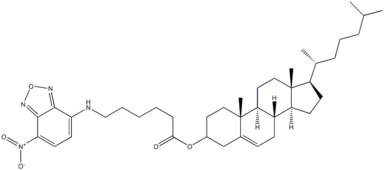 5-cholesten-3-ol 6-[(7-nitro-2-1,3-benzoxadiazol-4-yl)aMino]caproate Structure