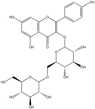 캠페롤3-(6-O-글루코피라노실글루코사이드) 구조식 이미지
