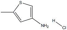 5-Methylthiophen-3-aMine hydrochloride Structure