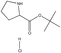 피롤리딘-2-카르복실산tert-부틸에스테르HCl 구조식 이미지