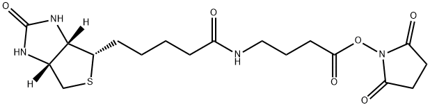2,5-Dioxopyrrolidin-1-yl 4-(5-((3aS,4S,6aR)-2-oxohexahydro-1H-thieno[3,4-d]iMidazol-4-yl)pentanaMido)butanoate 구조식 이미지