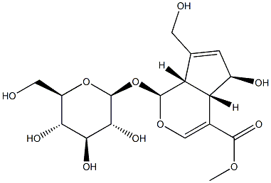 27530-67-2 Scandioside methyl ester
