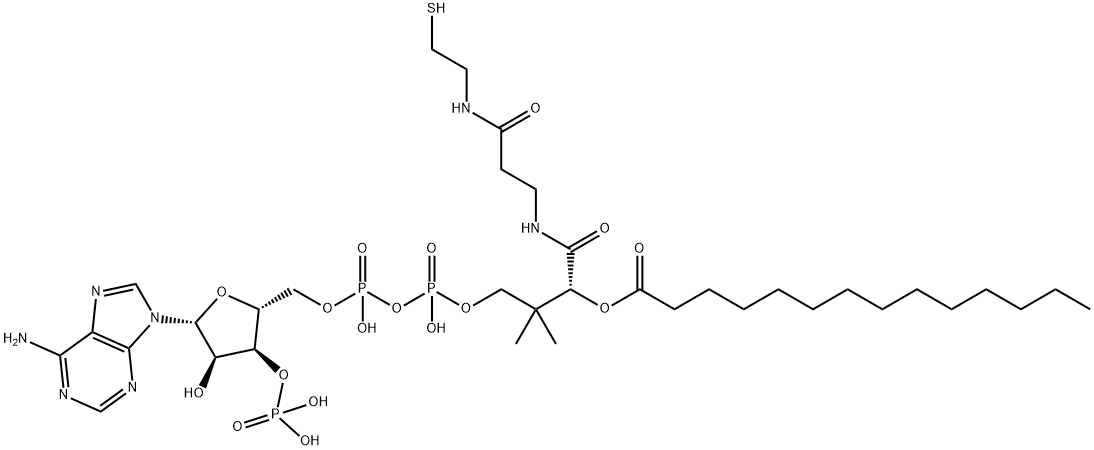 MYRISTOYL COENZYME A MONOHYDRATE* Structure