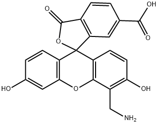 4'-AMinoMethyl-5-FAM Structure