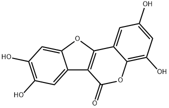 2,4,8,9-Tetrahydroxy-6H-benzofuro[3,2-c][1]benzopyran-6-one 구조식 이미지