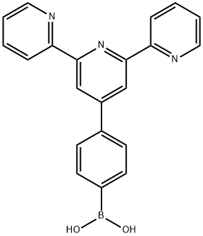 Boronic acid,(4-[2,2':6',2''-terpyridin]-4'-ylphen Structure