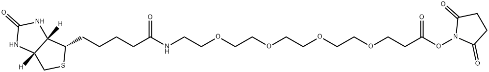 15-biotinlaMino-4,7,10,13-dioxanonanoic acid N-hydroxysucciniMidyl ester Structure