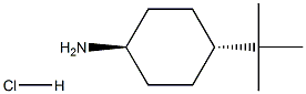 트랜스-4-tert-부틸-사이클로헥실라민염산염 구조식 이미지