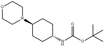 558442-96-9 tert-butyl ((1r,4r)-4-Morpholinocyclohexyl)carbaMate