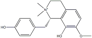 oblongine Structure