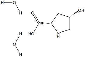 (2S,4S)-4-하이드록시피롤리딘-2-카복실산이수화물 구조식 이미지