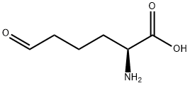 L-Allysine Structure