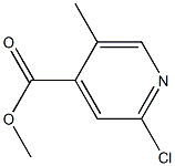 메틸2-클로로-5-메틸이소니코티네이트 구조식 이미지