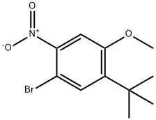 1-BroMo-5-tert-butyl-4-Methoxy-2-nitro-benzene 구조식 이미지