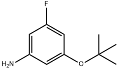 3-(tert-Butoxy)-5-fluoroaniline 구조식 이미지