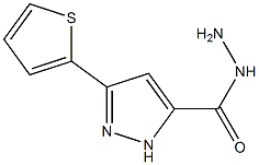 3-(Thiophen-2-yl)-1H-pyrazole-5-carbohydrazide Structure