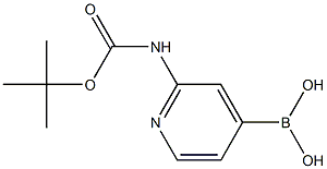 2-(tert-ButoxycarbonylaMino)pyridin-4-ylboronic acid Structure