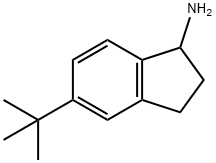 5-tert-butyl-2,3-dihydro-1H-inden-1-aMine Structure