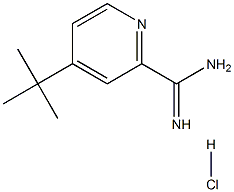 4-(tert-Butyl)picoliniMidaMide hydrochloride Structure