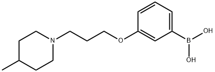 (3-(3-(4-Methylpiperidin-1-yl)propoxy)phenyl)boronic acid Structure