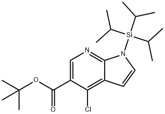 tert-butyl 4-chloro-1-(triisopropylsilyl)-1H-pyrrolo[2,3-b]pyridine-5-carboxylate Structure