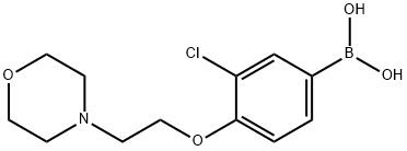 (3-chloro-4-(2-Morpholinoethoxy)phenyl)boronic acid Structure