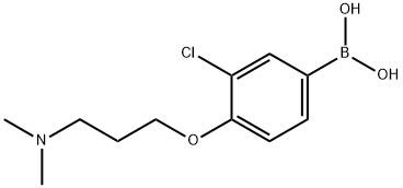 (3-chloro-4-(3-(diMethylaMino)propoxy)phenyl)boronic acid 구조식 이미지