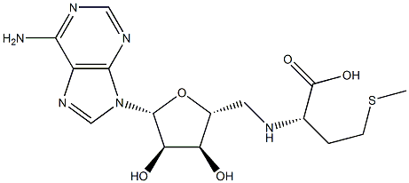 (R, S)-Adenosyl-L-Methionine Structure