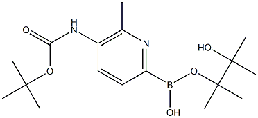 Boc-5-AMino-6-Methylpyridine-2-boronic acid pinacol ester Structure