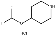 4-(DifluoroMethoxy)piperidine hydrochloride Structure