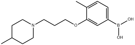 4-Methyl-3-(3-(4-Methylpiperidin-1-yl)propoxy)phenylboronic acid Structure