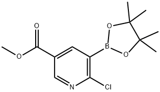 METHYL 6-CHLORO-5-(4,4,5,5-TETRAMETHYL-1,3,2-DIOXABOROLAN-2-YL)NICOTINATE Structure
