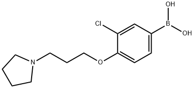 (3-chloro-4-(3-(pyrrolidin-1-yl)propoxy)phenyl)boronic acid Structure