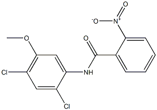 N-(2,4-dichloro-5-Methoxyphenyl)-2-nitrobenzaMide Structure