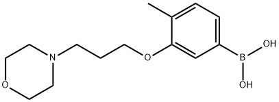 4-Methyl-3-(3-Morpholinopropoxy)phenylboronic acid Structure