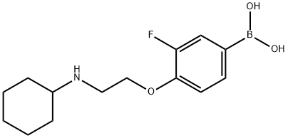 (4-(2-(cyclohexylaMino)ethoxy)-3-fluorophenyl)boronic acid Structure