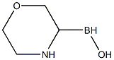3-Morpholine Metabolite 구조식 이미지