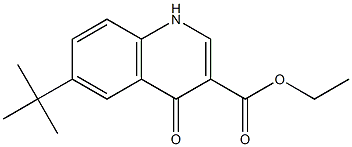 6-tert-Butyl-4-oxo-1,4-dihydro-quinoline-3-carboxylic acid ethyl ester 구조식 이미지
