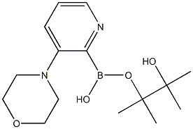 Morpholinopyridine-2-boronic acid pinacol ester 구조식 이미지