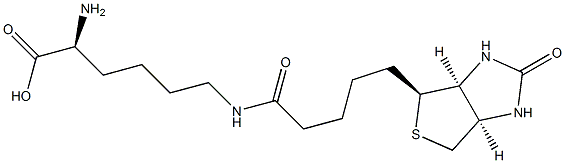 Ne-Biotinyl-L-lysine 구조식 이미지
