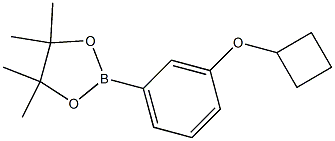 2-(3-Cyclobutoxy-phenyl)-4,4,5,5-tetraMethyl-[1,3,2]dioxaborolane Structure