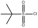 2-Methyl-2-propanesulfonyl chloride 구조식 이미지