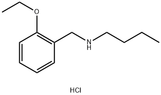 butyl[(2-ethoxyphenyl)methyl]amine hydrochloride Structure
