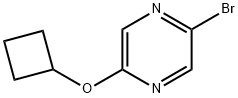 2-Bromo-5-cyclobutoxypyrazine Structure
