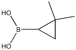 (2,2-dimethylcyclopropyl)boronic acid Structure