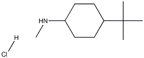 4-Tert-Butyl-N-Methylcyclohexan-1-Amine Hydrochloride Structure
