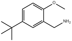 (5-Tert-butyl-2-methoxyphenyl)methanamine 구조식 이미지