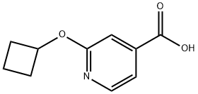 2-Cyclobutoxypyridine-4-carboxylic acid Structure