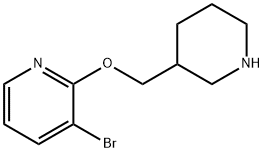 3-bromo-2-(piperidin-3-ylmethoxy)pyridine 구조식 이미지