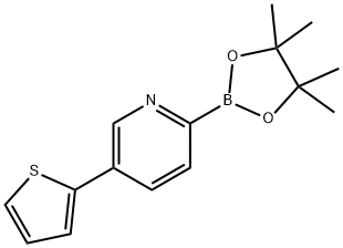 2-(4,4,5,5-tetramethyl-1,3,2-dioxaborolan-2-yl)-5-(thiophen-2-yl)pyridine 구조식 이미지